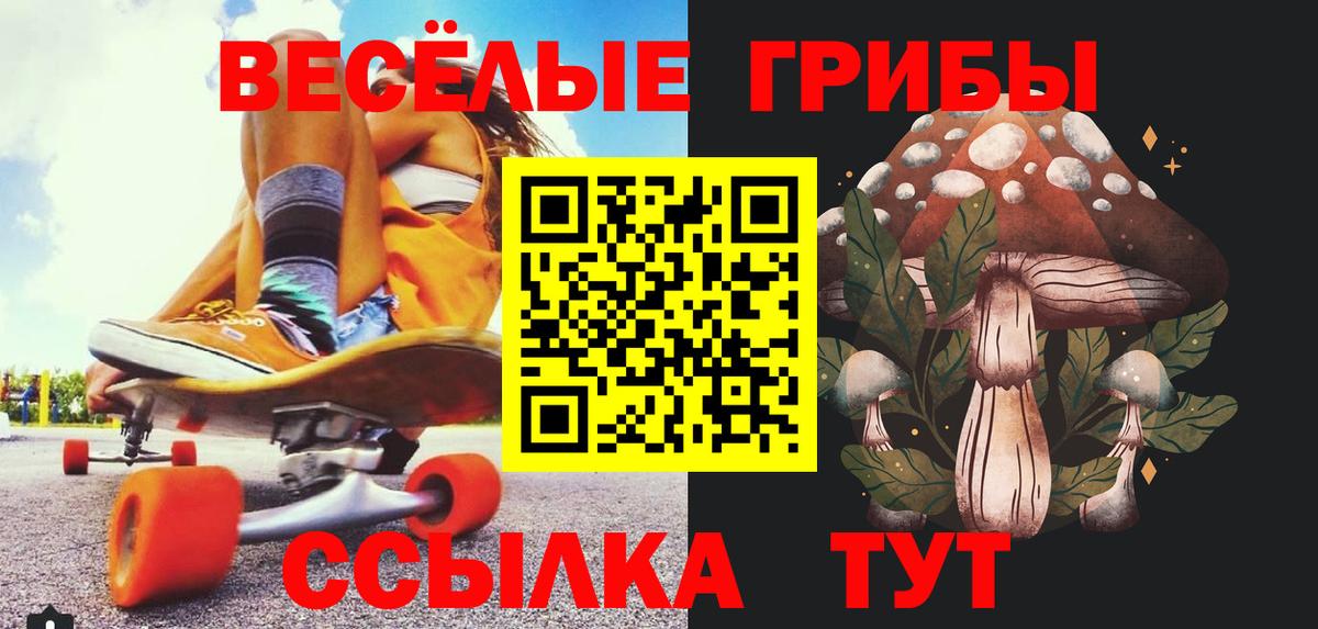 Псилоцибиновые грибы Magic Shrooms  где купить   Казань  Вход с VPN 